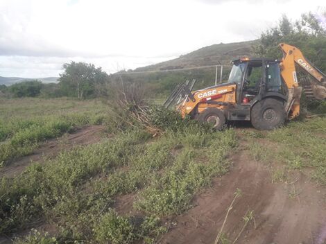 Limpeza de terreno.